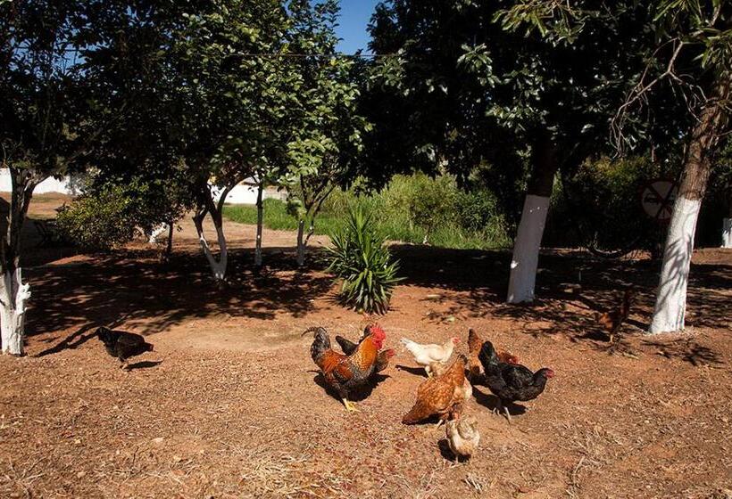 Hotel Pousada Trilha Da Serra