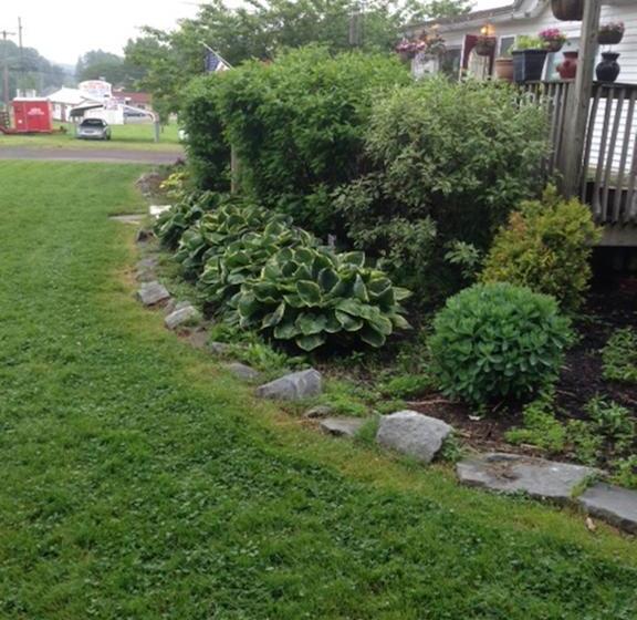 מוטל Fosterdale Motor Lodge