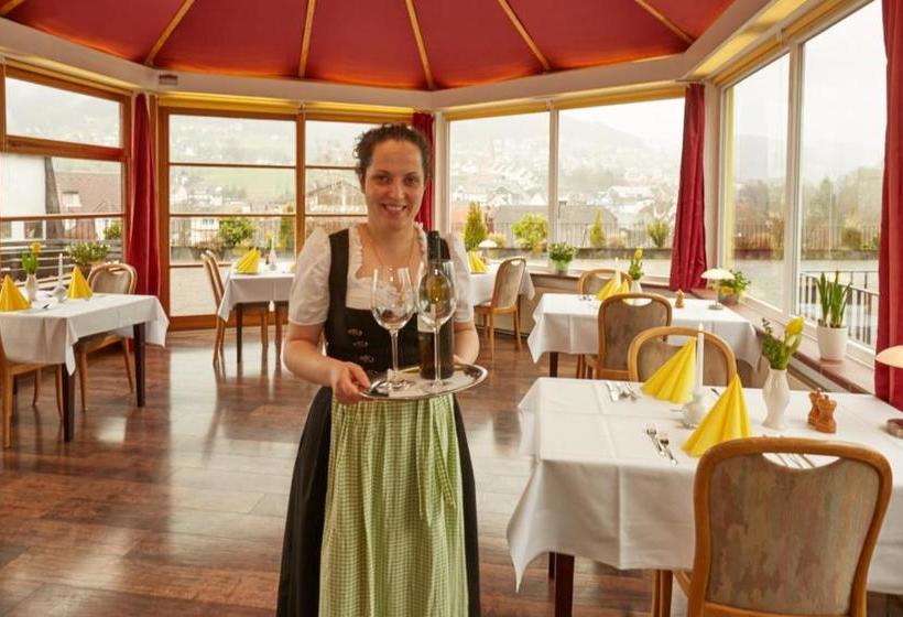 Panoramahotel Berghof