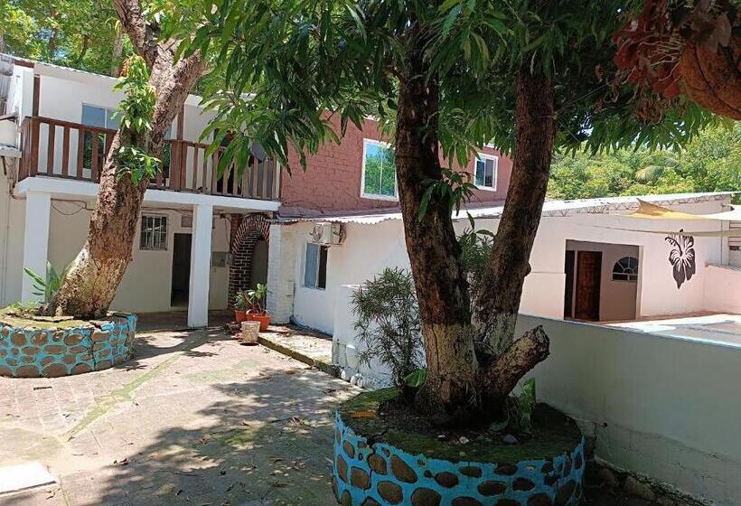 هتل Secret Spot Surf Inn