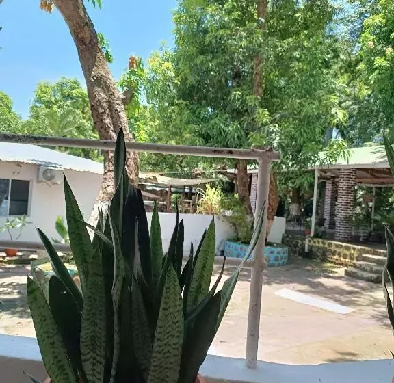 ホテル Secret Spot Surf Inn