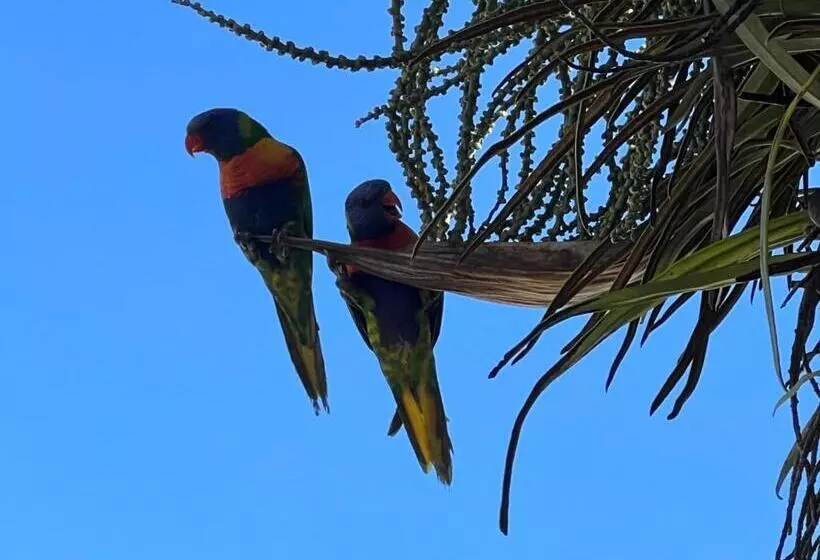 Innisfail Riverfront Motel