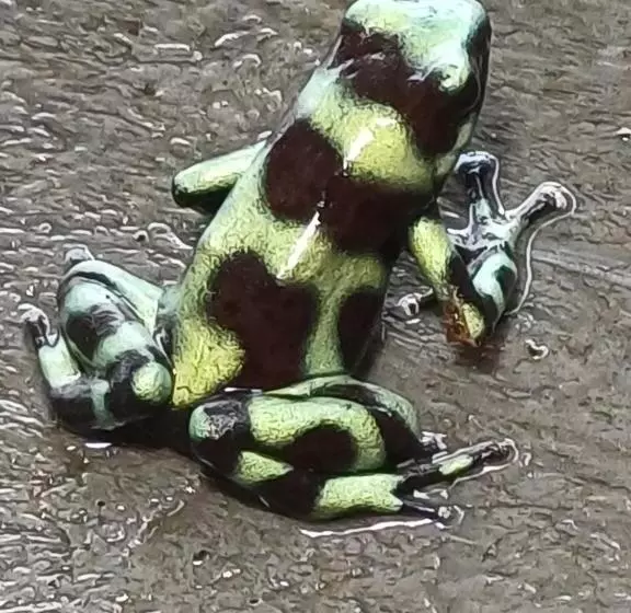 Las Nubes Natural Energy Resort