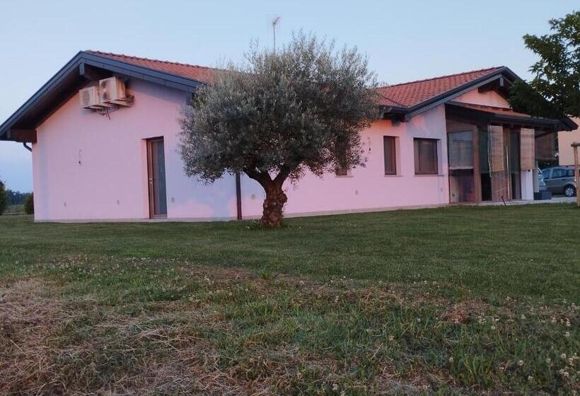 פנסיון Ta Jevada