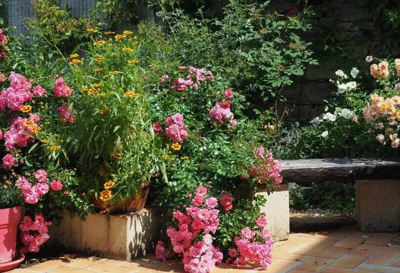 ペンション Zotheca