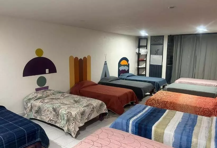 ユースホステル Hostal Reforma