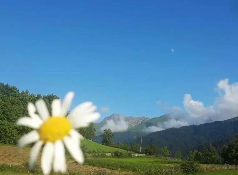 پانسیون Cozy Qorte