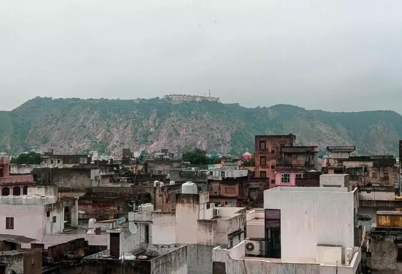 ペンション The Pink Nest   Backpackers Abode