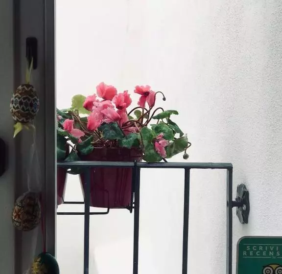 Aamiaismajoitus (B&B) Charming Rooms Opuntia