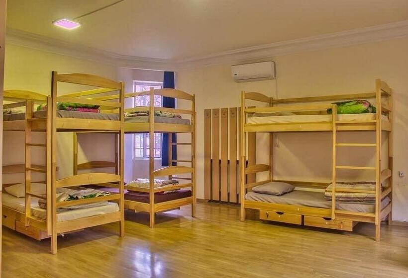 Classy And Cozy Hostel