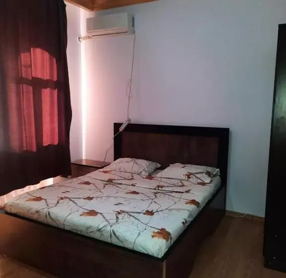 Classy And Cozy Hostel