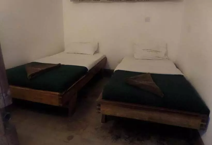 هتل Arusha Backpackers