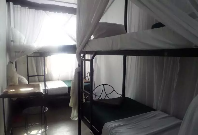 هتل Arusha Backpackers