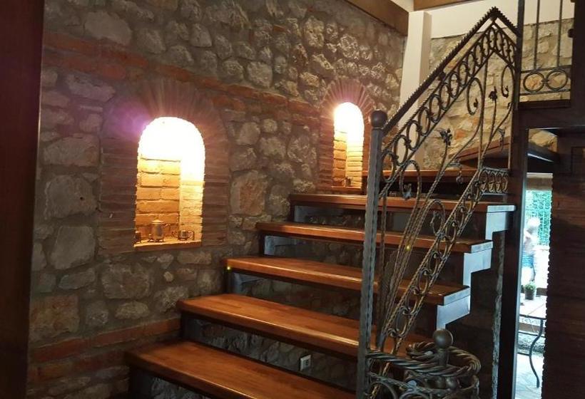 호텔 Bujtina Ollga