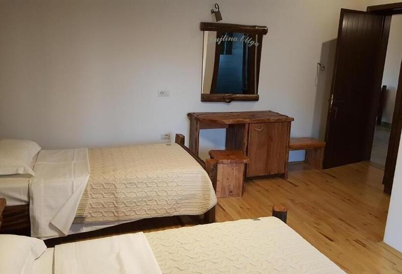 호텔 Bujtina Ollga