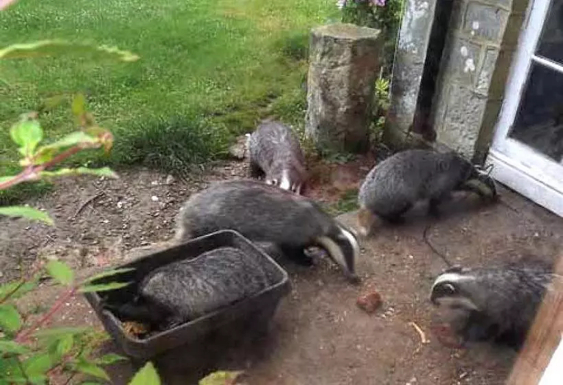 هتل 2 Old Park Cottages  St Lawrence