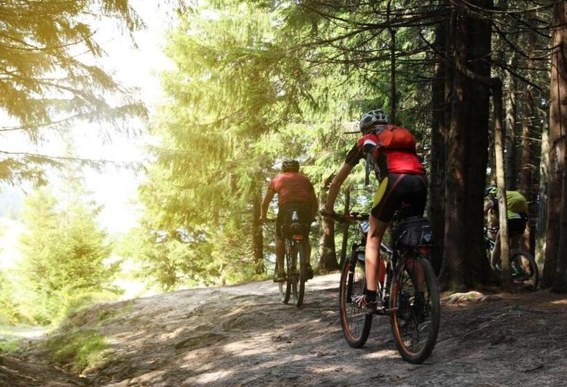 7seas Erholungsdomizil Bostalsee