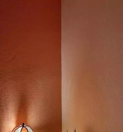 ホテル Hostel Paricutín