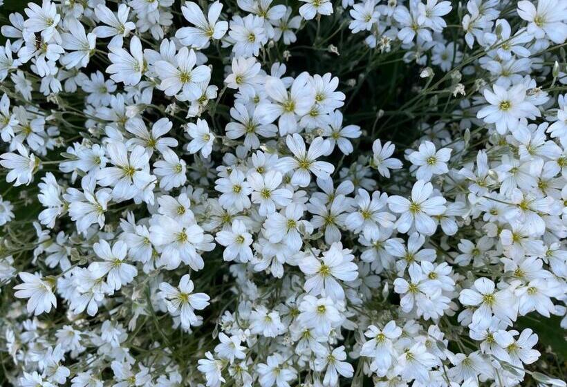 펜션 Le Mas De Loume