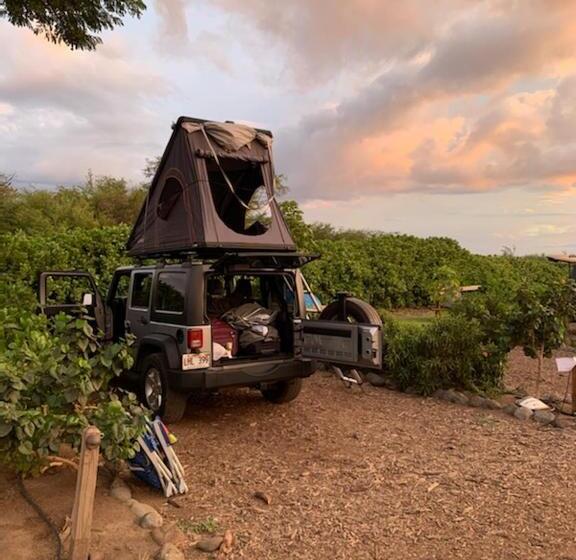Szálloda Campcar Maui Jeeps Suvs Hybrid Camper Van Rentals With Equipment And Travel Advice