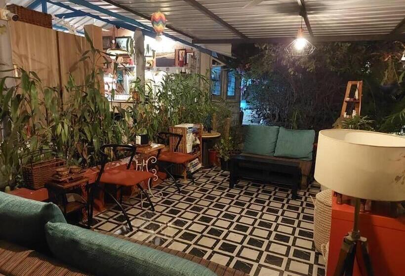 Hotelli Wilderness Jungle Camp