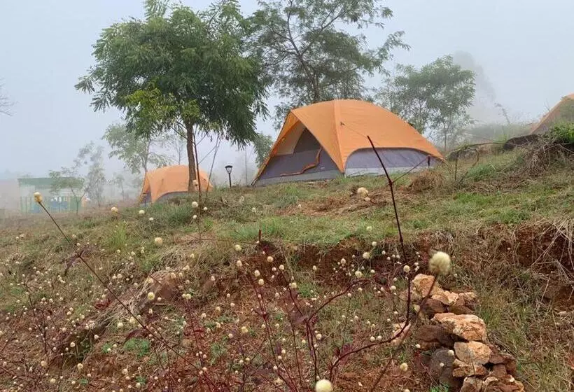 Hotelli Wilderness Jungle Camp