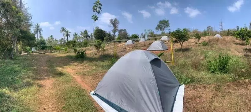 Hotelli Wilderness Jungle Camp