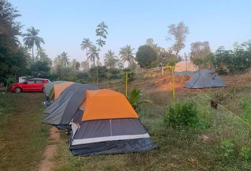 Hotelli Wilderness Jungle Camp