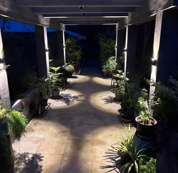 Hotelli Wilderness Jungle Camp