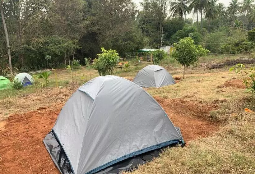 Hotelli Wilderness Jungle Camp