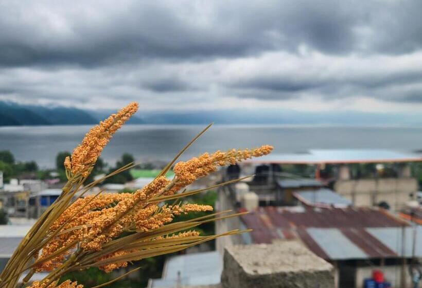 پانسیون Casa Raxic