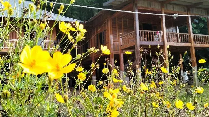 هتل Bảo Lộc Homestay