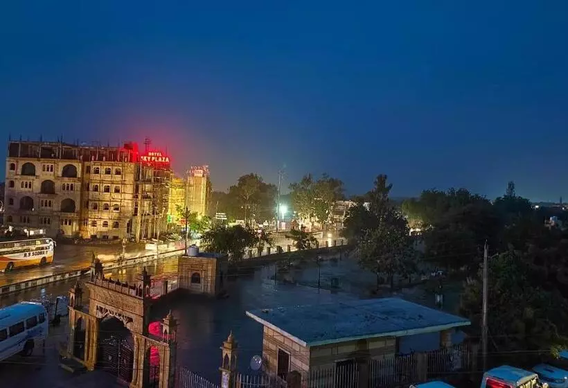 Hotel Dev Palace