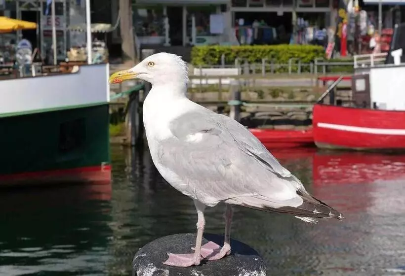 Hotelli Landhaus Gersdorf Nahe Ostseebad Kühlungsborn
