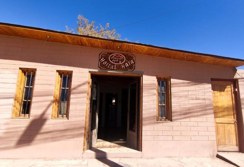 פנסיון Hostal Hara