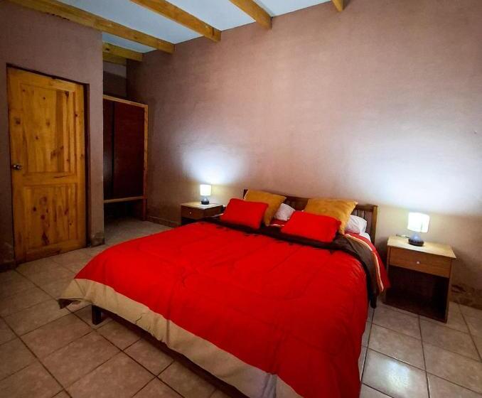 פנסיון Hostal Hara