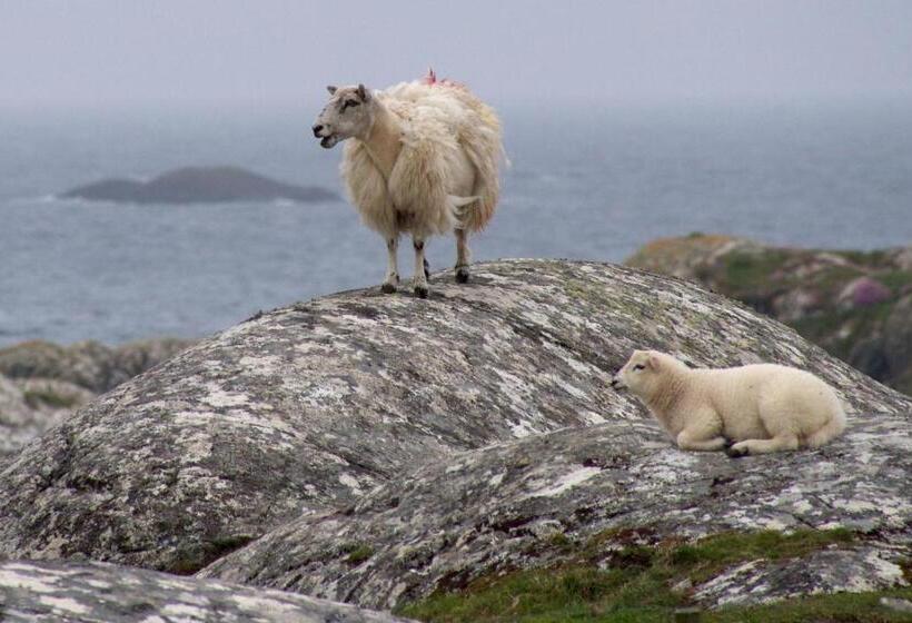 膳宿费 Lavally House