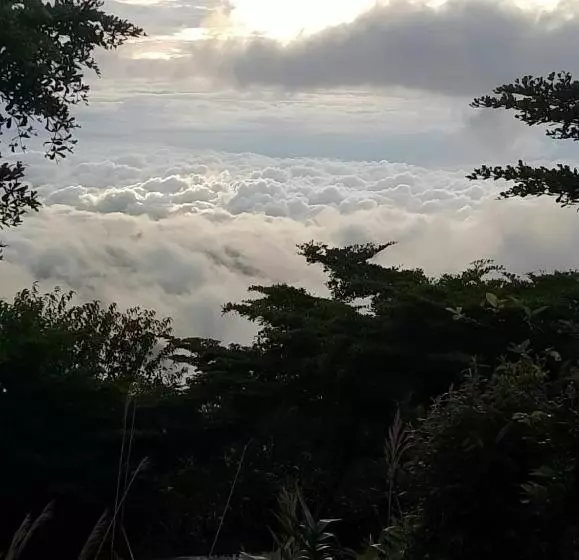 Lomakeskus ฟ้ากำหนด ภูทับเบิก