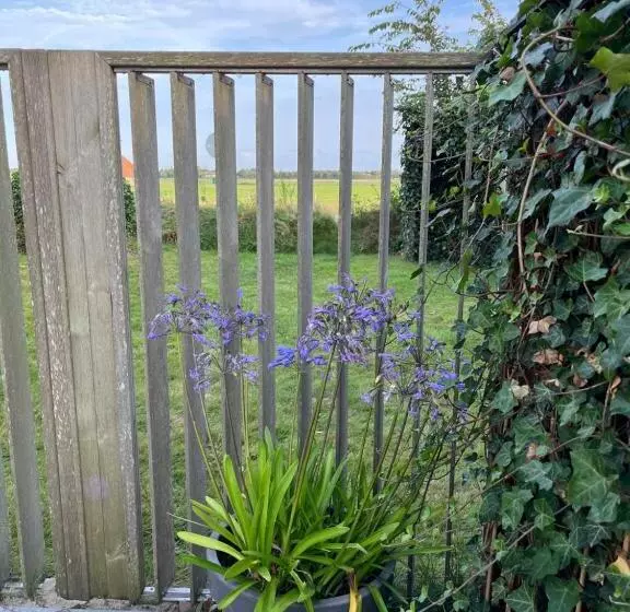 Aamiaismajoitus (B&B) Gastsuite Het Duinroosje Met Hottub Op Het Privé Terras!