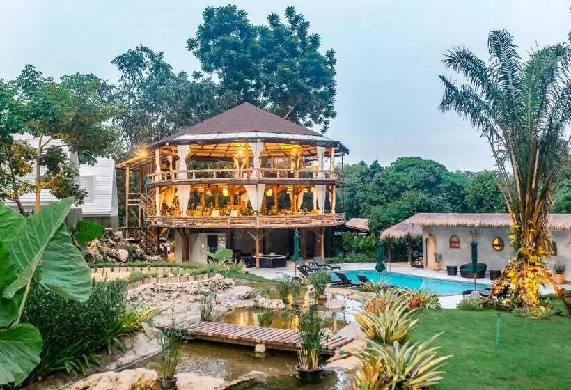 ホテル Voasis Valley Krabi   Natural Resort