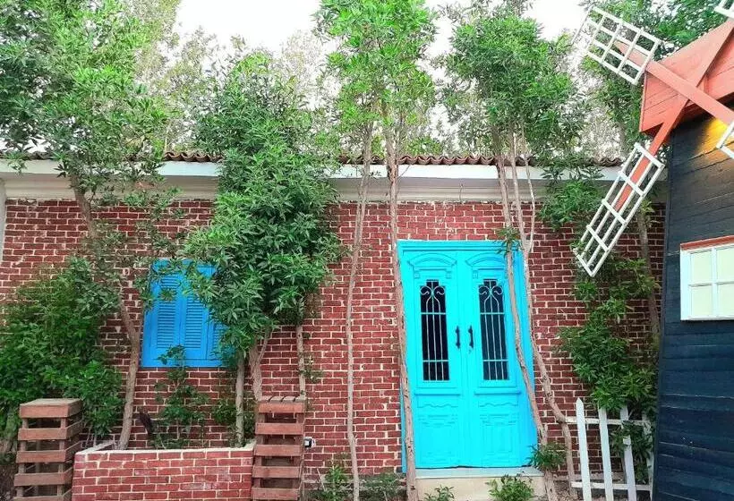 مُتل Ibiza Hostel