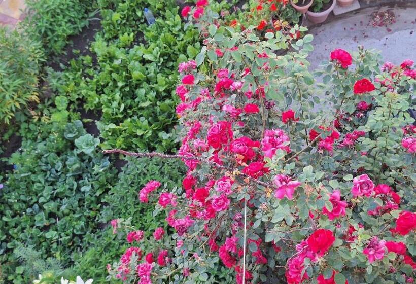 Pensionat Gyalson Guest House Ladakh By Lexstays