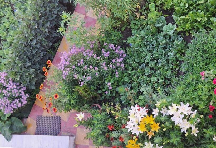 Pensionat Gyalson Guest House Ladakh By Lexstays