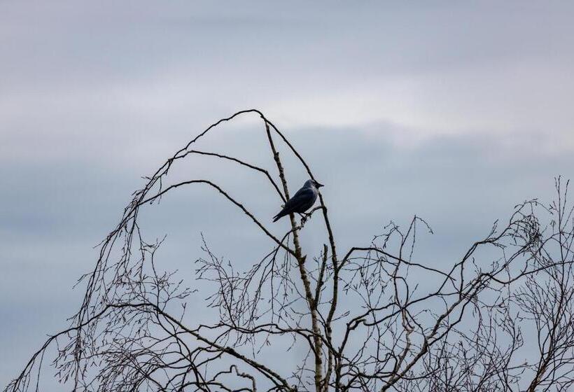 پانسیون Flat In Glastonbury 10