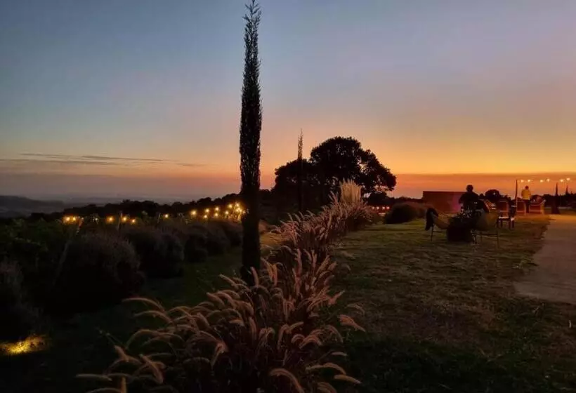 Lomakeskus Vinícola Mirantus