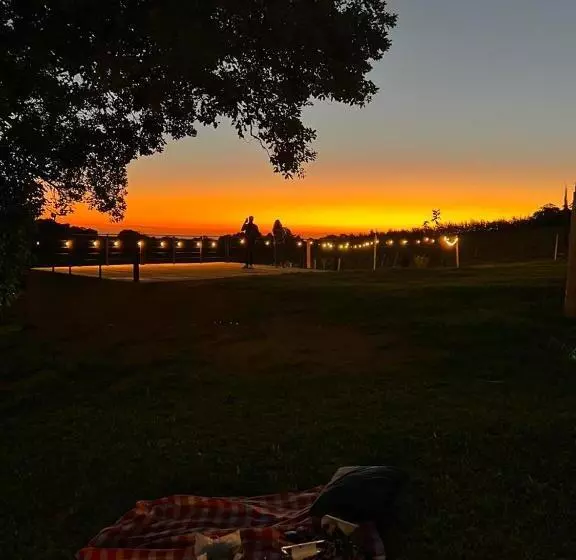 Lomakeskus Vinícola Mirantus