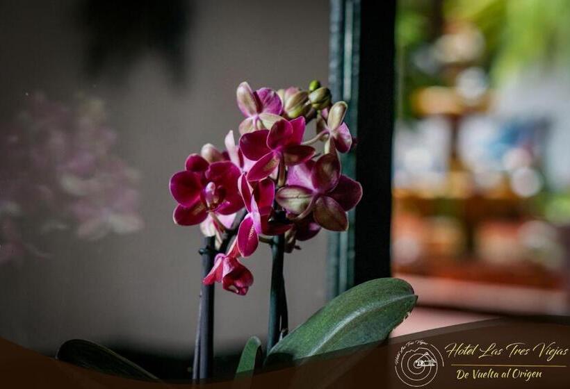 Hotel Las Tres Viejas