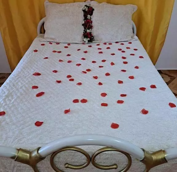 هاستل Kanalu Land