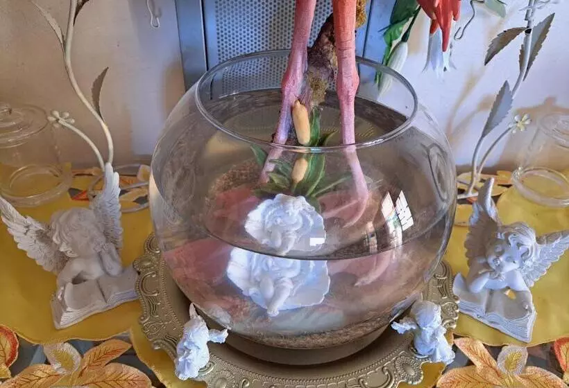 هاستل Kanalu Land