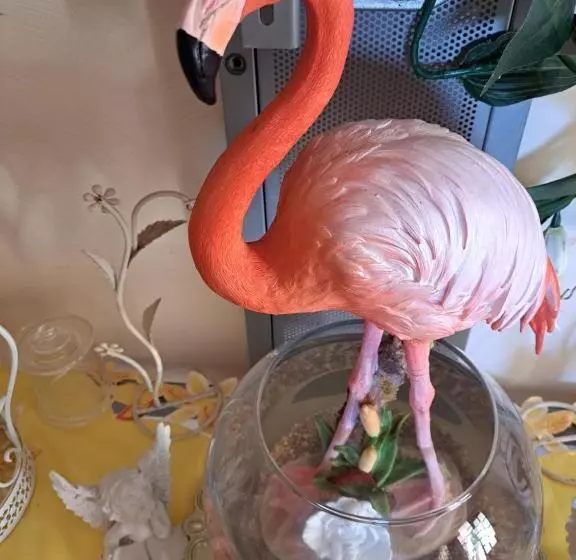 هاستل Kanalu Land